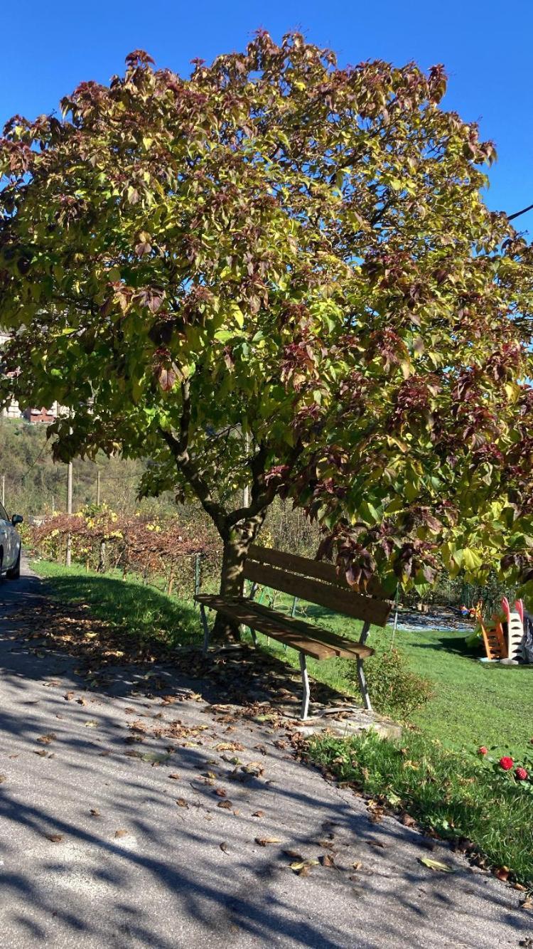 Cascina Uertigher Gorno Εξωτερικό φωτογραφία